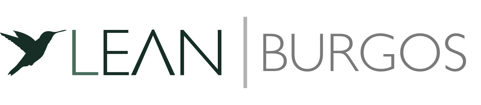 LEAN Abogados Burgos