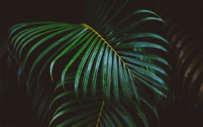 ¿En qué partes se divide una herencia?